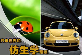 甲种汽车多少辆车型